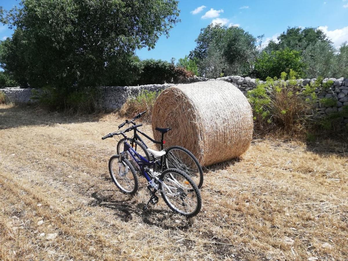 מודיקה Agriturismo Fondo Paliemmu מראה חיצוני תמונה